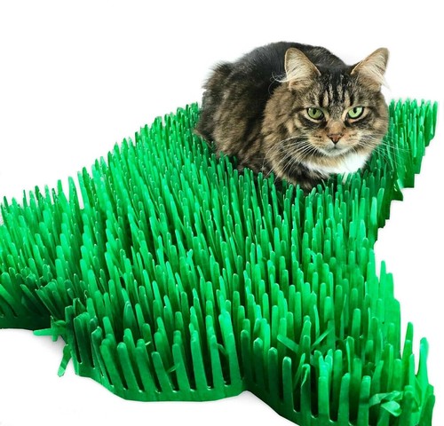 Premium green tissue - green, paper
