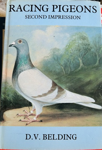 Racing pigeons including - racing,