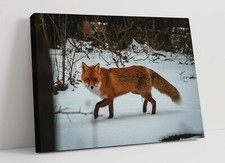 RED FOX SNOWY LANDS, WILDLIFE