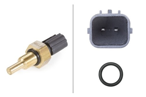 Hella 6pt 009 309 - 6pt, sensor