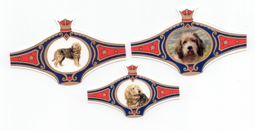 Otterhound collection dog - otterhound,
