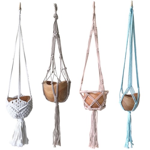Macrame plant hanger - plant,