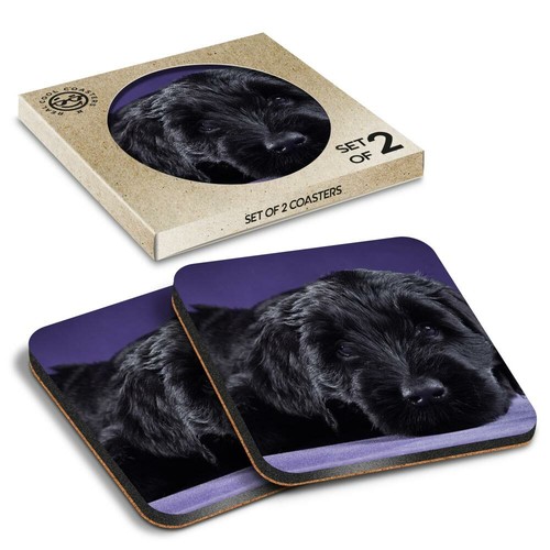 Boxed square coasters - coasters,