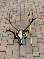 wall mounted deer antlers