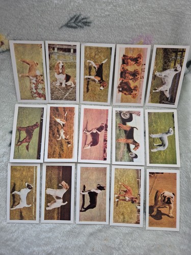 Hornimans tea cards dogs 1961 - hornimans,