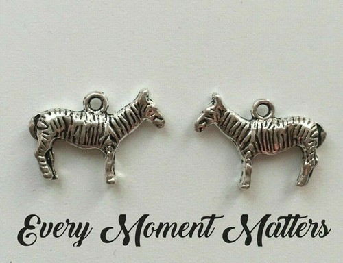 Tibetan silver zebra - x,
