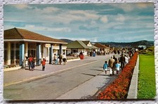 Vintage Postcard, Happy