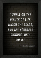 Marcus Aurelius Quote Framed