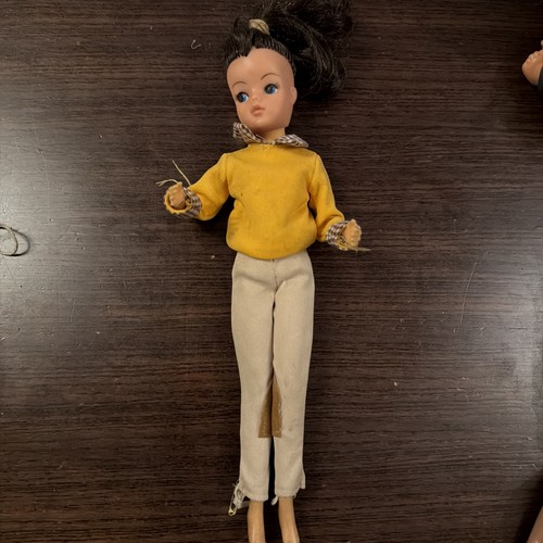 Sindy doll vintage pedigree - doll,