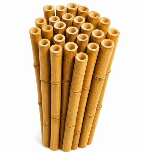 Strong bamboo garden - bamboo, canes