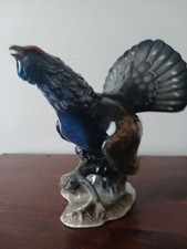 Superb Rosenthal Capercaillie
