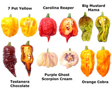 Worlds HOTTEST Chilli - 6