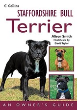 Staffordshire Bull Terrier: An