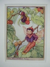Vintage Flower Fairies Print &