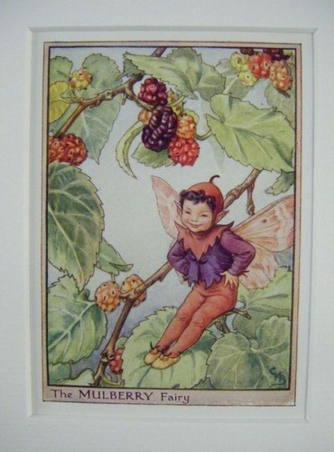 Vintage flower fairies print - fairies,