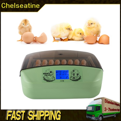 Eggs incubator temperature - 32,
