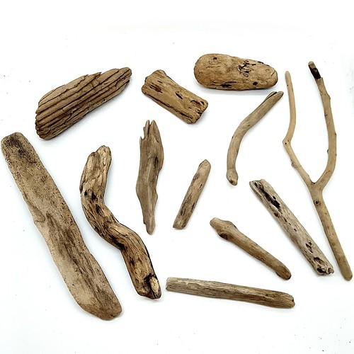 Beach driftwood natural - beach, 12