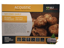 Accoustic 2nd early seed