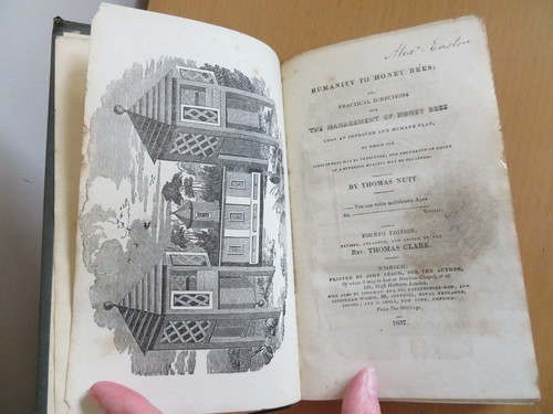 1837 humanity honey bees - honey,