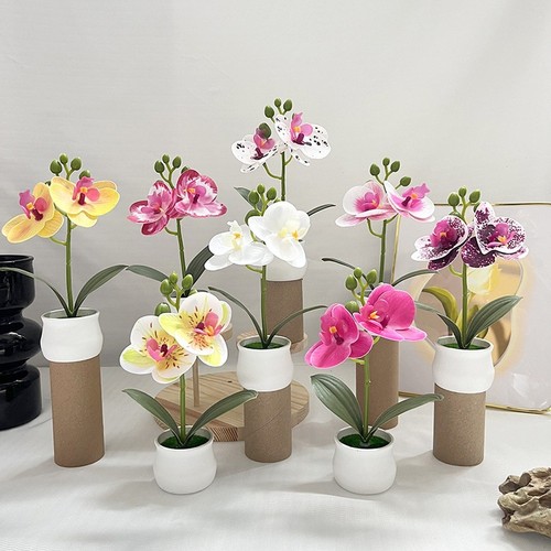 Plastic phalaenopsis orchid - plastic,