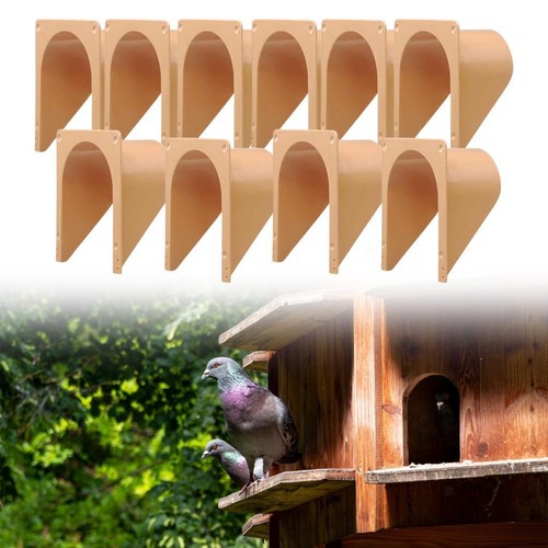 10pcs homing pigeon - 10pcs,