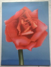 Adrian George Big Rose