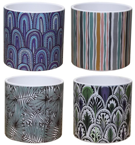 Small ceramic plant pot - plant,