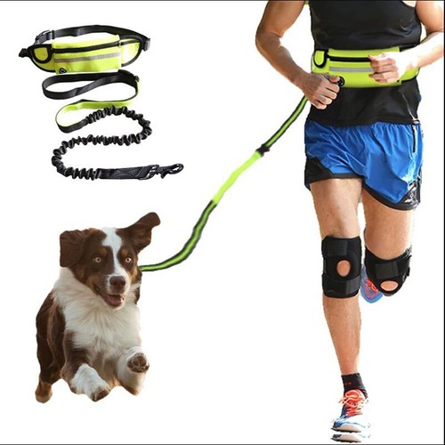 Hands free dog - free, for