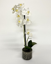 White Artificial Phalaenopsis