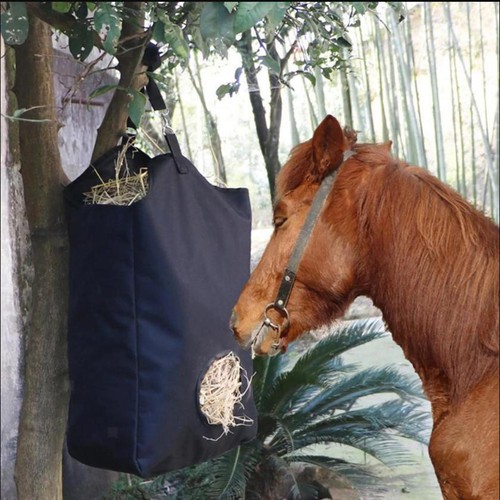 Horse hay feeder - hay, slow