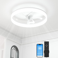 50cm Ceiling Fan Light and