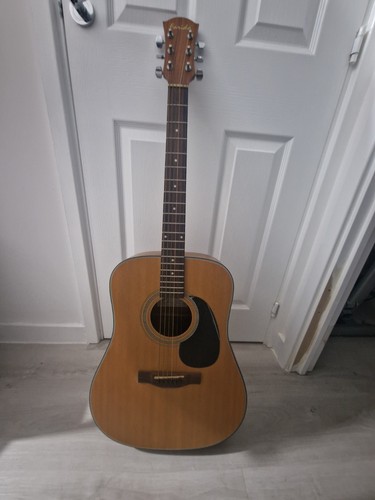 Farida acoustic guitar - farida,
