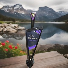 Strongbow Dark Fruits Cider