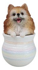 Pet Pomeranian Pom Pom Teacup