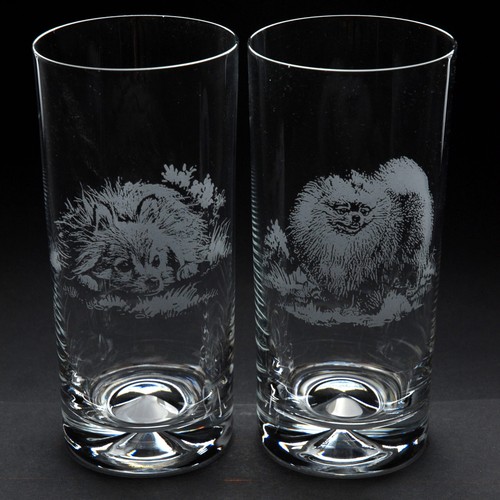 Pomeranian dog highball glass - pomeranian,