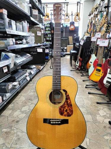 Morris nat acoustic - morris,