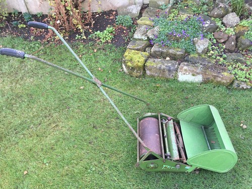 Maxees 14 push lawn - push,