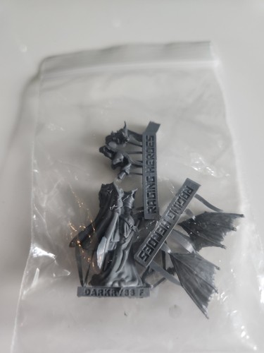 Raging heroes dark - dark, lady