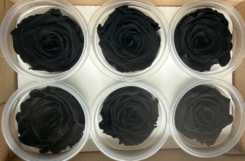 Black preserved real roses - 12,
