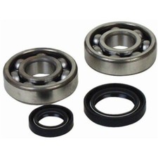 PROX Crankshaft Bearing & Oil