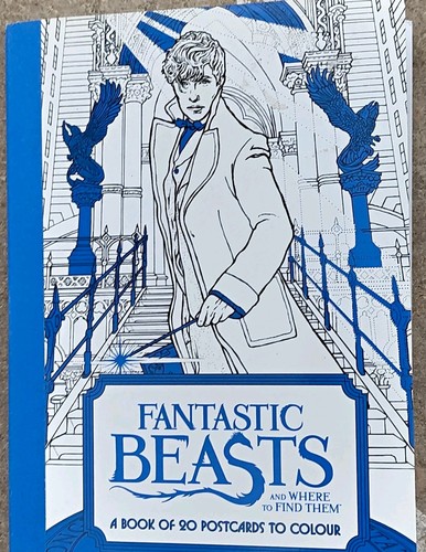 Harry potter fantastic beasts - potter,