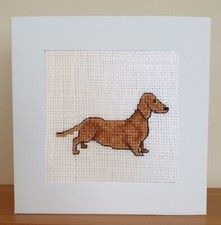Dachshund - Sausage Dog -
