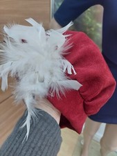 Tudor Style Men Hat Real Feathers, Tudor Cosplay, Tudor Costume