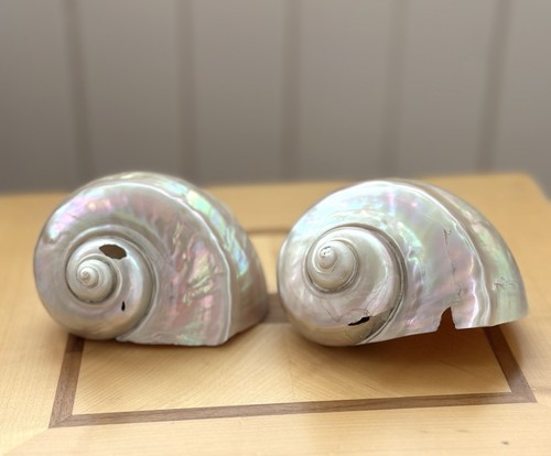 Vintage 1800s pair - , of