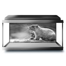 Fish Tank Background 90x45cm