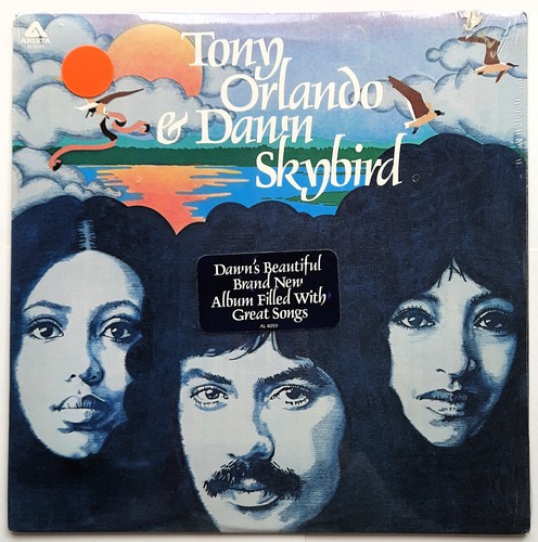 Tony orlando dawn - orlando, skybird