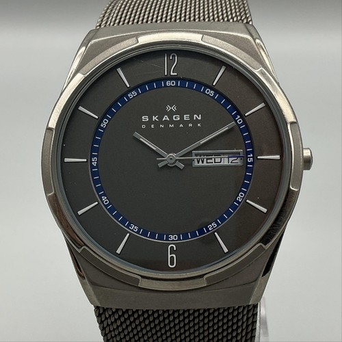 Skagen melbye titanium mens - skagen,
