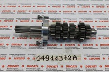 Primary tree complete gear