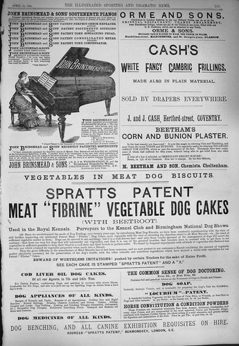 Old antique print 1884 - old,