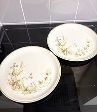 2 Vintage St Michael M&S Dinner Plates. ‘harvest’ Collection. Ideal For Display.